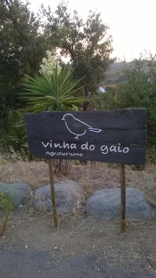 הוילה Montes de Cima Vinha Do Gaio מראה חיצוני תמונה