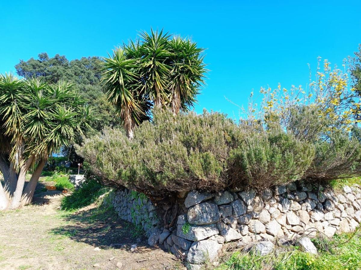 הוילה Montes de Cima Vinha Do Gaio מראה חיצוני תמונה