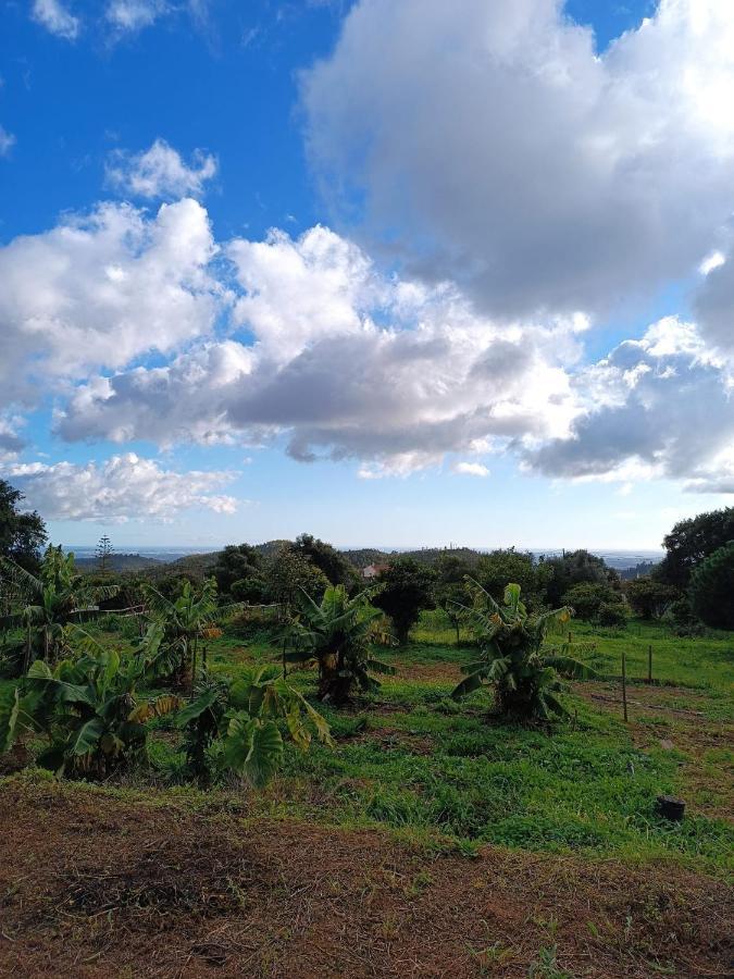 הוילה Montes de Cima Vinha Do Gaio מראה חיצוני תמונה